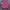 Arnold Palmer Coquette Casual Kimono Pria pink photo 1
