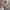 Adidas Streetwear Hoody Pria gray photo 2