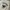 Fluke Skateboard Streetwear Skater Sweater Pria cream photo 2