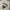 Fluke Skateboard Streetwear Skater Sweater Pria Cream