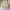 Fluke Skateboard Streetwear Skater Sweater Pria cream photo 5