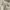 Fluke Skateboard Streetwear Skater Sweater Pria cream photo 3