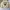 Fluke Skateboard Streetwear Skater Sweater Pria cream photo 1