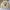 Fluke Skateboard Streetwear Skater Sweater Pria Cream