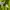 Vivastudio Streetwear Sweater Pria green photo 5