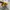 Onitsuka Tiger Casual Sneakers Wanita yellow black photo 4