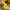 Onitsuka Tiger Casual Sneakers Wanita yellow black photo 2