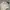 Vintage Streetwear Hat Pria cream photo 3