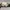Vintage Streetwear Hat Pria cream photo 2
