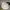 Vintage Streetwear Hat Pria cream tan photo 3