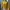 Minimalist Casual Sweater Wanita yellow photo 1