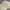 Vintage Streetwear Hat Pria cream photo 4