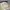 Vintage Streetwear Hat Pria cream photo 3
