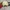 Vintage Streetwear Hat Pria cream photo 2