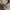 Japanese brand Streetwear Hoody Pria white tan photo 4