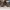 Louis Vuitton Luxury Futurist Sneakers Pria tan brown photo 7