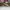 Louis Vuitton Luxury Futurist Sneakers Pria tan brown photo 3