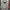 Japanese brand Streetwear Hoody Pria red gray photo 3