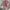 Japanese brand Streetwear Hoody Pria red gray photo 4