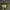Nike Sportswear Sneakers Pria green photo 5