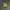 Nike Sportswear Sneakers Pria green photo 3