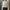 Coquette Casual Cardigan Wanita white cream photo 1