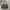 Coach Vintage Y2K Hobo bag Wanita black photo 1
