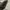 Coach Vintage Y2K Hobo bag Wanita black photo 7