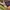 Zephyr D'Urban Sportswear Hat Pria navy photo 6