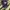 Zephyr D'Urban Sportswear Hat Pria navy photo 2