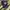 Zephyr D'Urban Sportswear Hat Pria Navy
