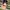 Zephyr D'Urban Sportswear Hat Pria navy photo 5