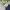 Minimalist Fleece Kids navy photo 2