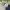 Minimalist Fleece Kids Navy