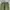Uniqlo Indie Casual Casual pants Pria green photo 1