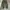 Uniqlo Indie Casual Casual pants Pria green photo 8