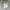 GAP Minimalist Puffer jacket Kids white photo 6