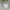 GAP Minimalist Puffer jacket Kids white photo 1