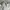 GAP Minimalist Puffer jacket Kids white photo 2