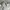 GAP Minimalist Puffer Jacket Kids White