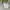 GAP Minimalist Puffer jacket Kids white photo 7