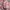 Minimalist Puffer jacket Kids multicolor photo 5