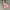 Minimalist Puffer jacket Kids multicolor photo 7