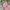 Minimalist Puffer jacket Kids multicolor photo 2