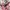 Minimalist Puffer jacket Kids multicolor photo 3