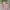 Minimalist Puffer jacket Kids multicolor photo 1