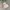 Minimalist Puffer jacket Kids multicolor photo 6