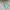 Minimalist Puffer jacket Kids green blue photo 6