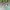 Minimalist Puffer jacket Kids green blue photo 2