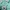 Minimalist Puffer jacket Kids green blue photo 3
